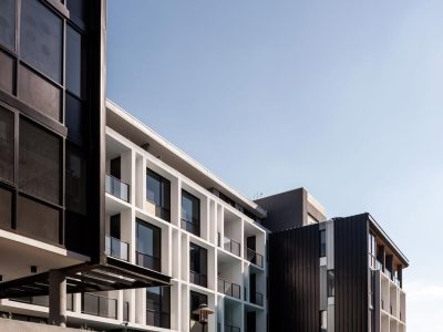 Rise and Thrive: The Elements