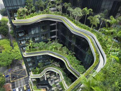 The home as a habitat